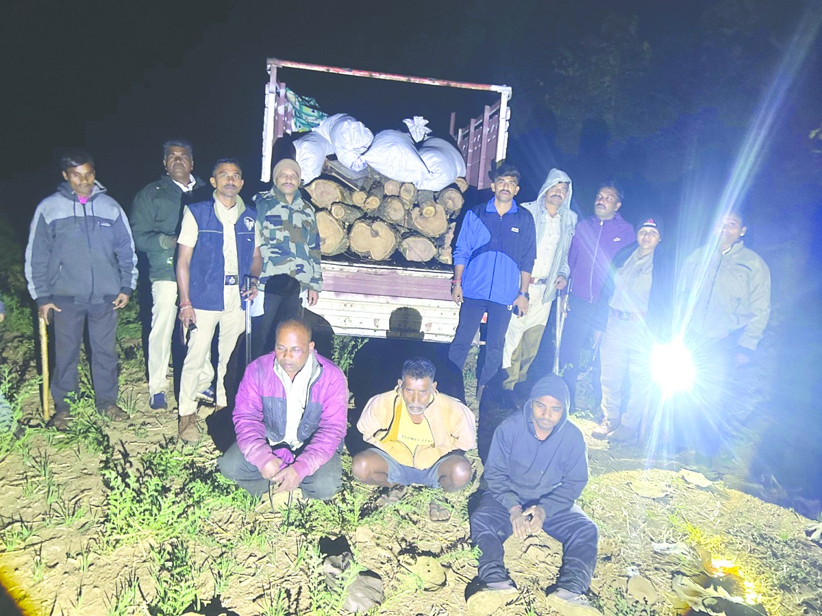 ધરમપુરના ચોસપાડામાં ગેરકાયદે ખેર સાથે બે ઝડપાયા