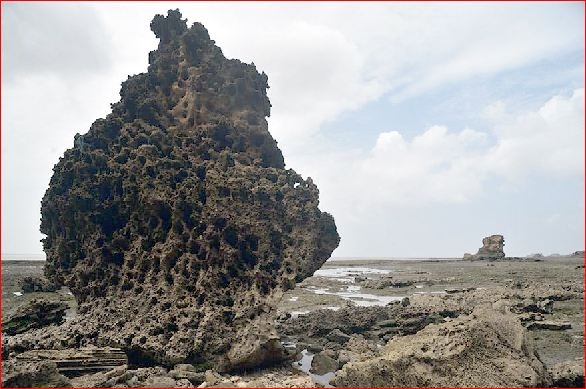 વલસાડના ફોટોગ્રાફરના સુરત, અમદાવાદ અને મુંબઈમાં પ્રદર્શન યોજાશે