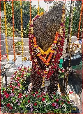 વલસાડમાં શનિ જયંતિની ભવ્ય ઉજવણી કરાઈ