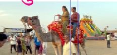 સાપુતારામાં પ્રવાસીઅોનો મેળો