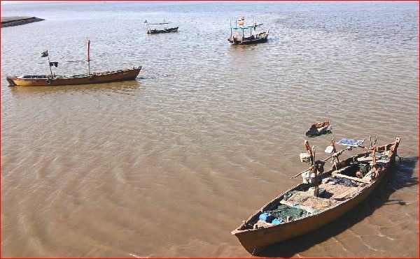 ઉમરસાડી માછીવાડના માછીમારો બુમલા માછલી સુકાવવાની કામગીરીમાં જાતરાયા