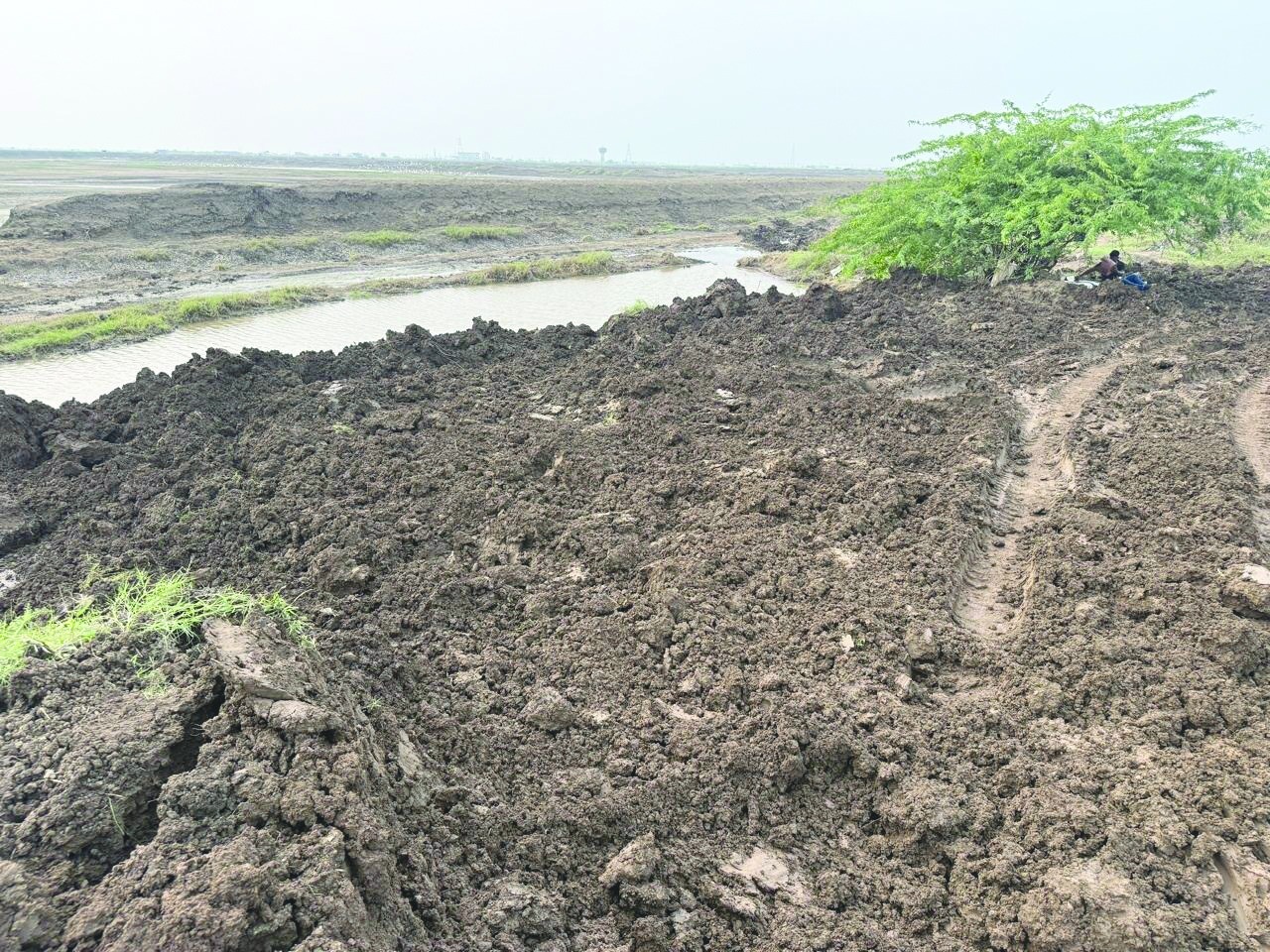 ગણદેવીનાં મેîધર-કલમઠાનાં ગેરકાયદે ઝીંગા તળાવો દૂર કરાયા