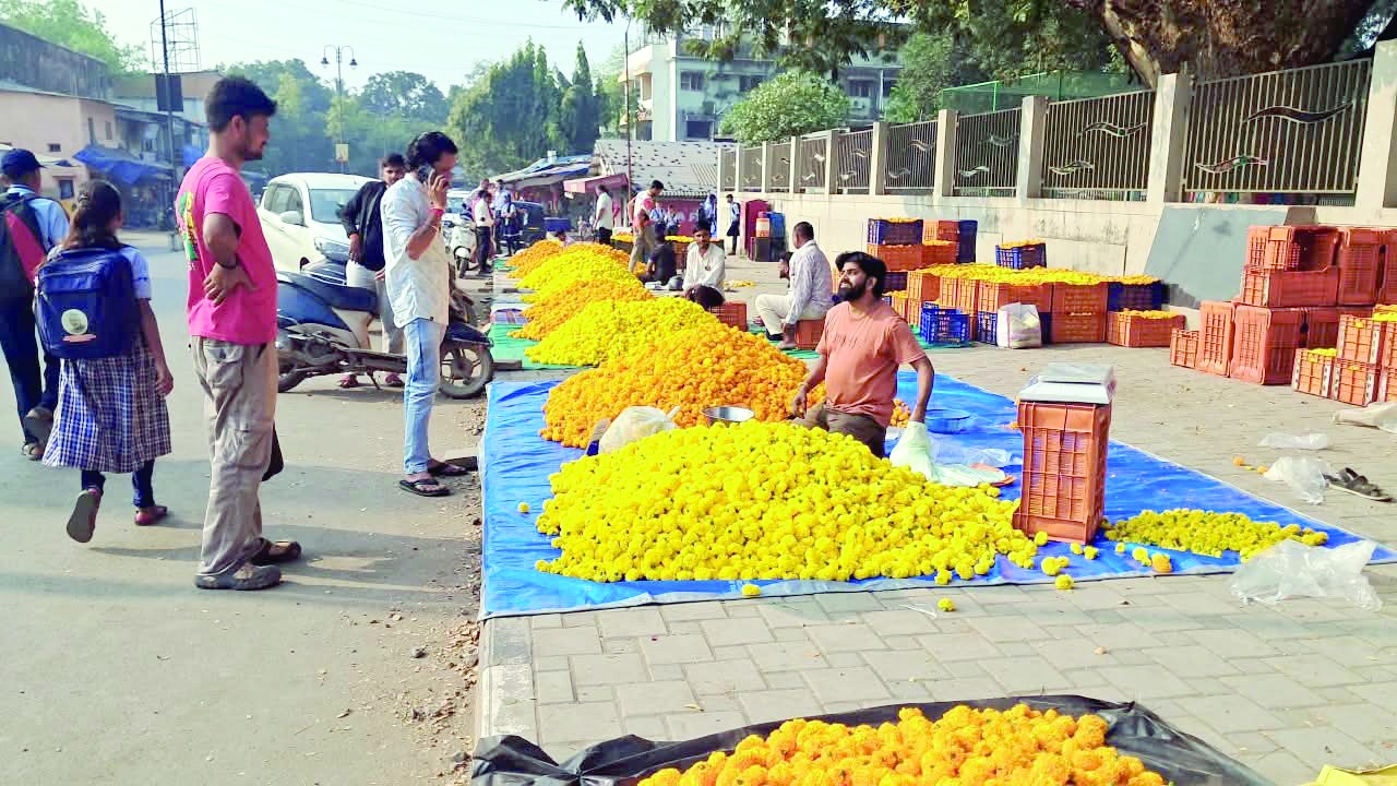 સેલવાસમાં દશેરા પર્વે ગલગોટાના ફૂલોની આવક વધી