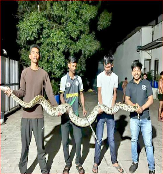 ઉમરગામ જીઆઇડીસીમાંથી અજગરનું રેસ્કયુ કરાયું